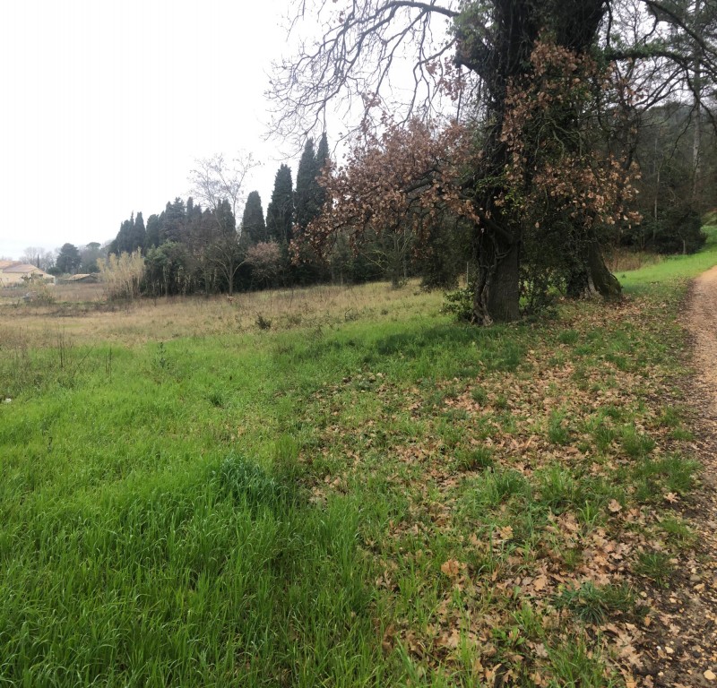 Terrain constructible de 2020 m² à Pont-Saint-Esprit avec permis accepté