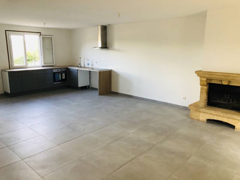 séjour avec cheminée